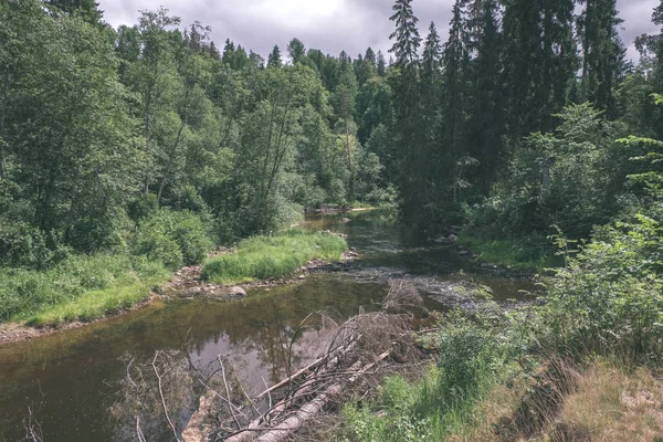 Córrego Rochoso Rio Profundo Floresta Verão Rio Amata Letônia Perto — Fotografia de Stock