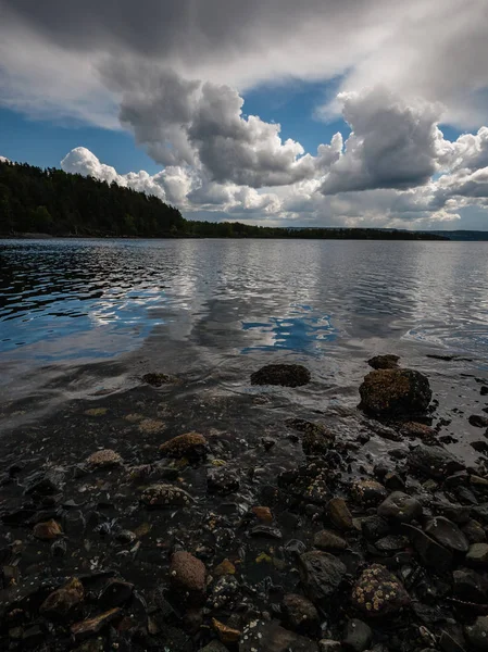 Costa Rocosa Noruega Con Pocos Pinos Aguas Tranquilas Bajo Cielo —  Fotos de Stock