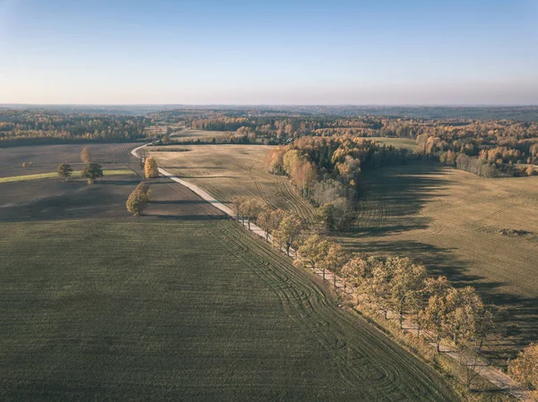 Imagem Drone Vista Aérea Área Rural Com Estrada Cascalho Campos — Fotografia de Stock