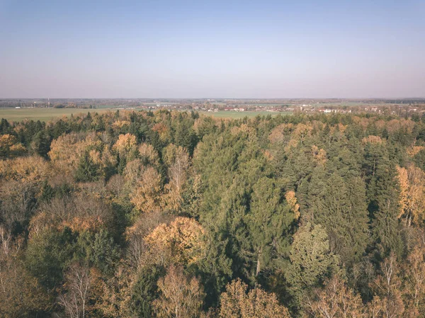 Drone Obrazu Widok Lotu Ptaka Obszarów Wiejskich Pól Lasów Pochmurny — Zdjęcie stockowe