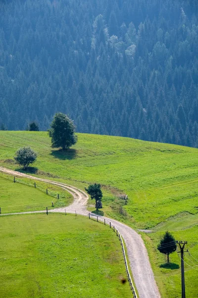 country gravel road on green meadow leading up to the mountains in Slovakia
