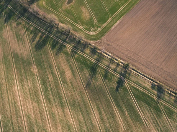Drone Billede Luftfoto Landdistrikter Med Marker Skove Vandspejlinger Floden Overskyet - Stock-foto