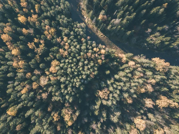 Изображение Дрона Воздушный Вид Волнистую Реку Осеннем Цветном Лесу Latvia — стоковое фото