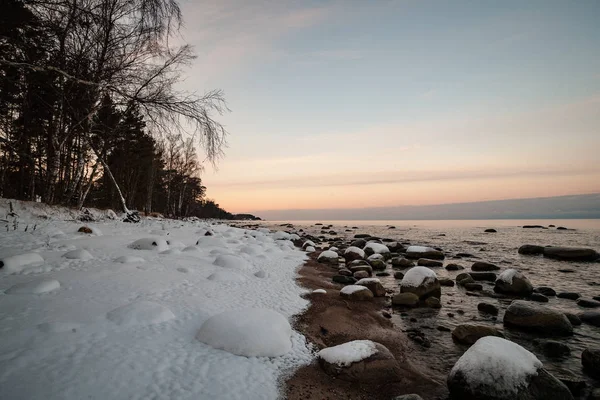 Wilder Wald Winter Mit Schnee Späten Abend Vor Sonnenuntergang — Stockfoto