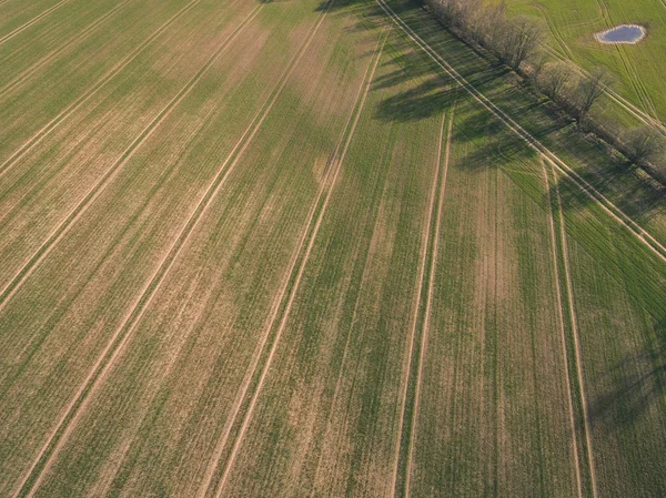 Drone Bild Flygfoto Över Landsbygden Med Fält Och Skogar Och — Stockfoto