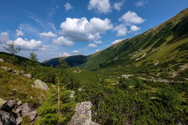 Zachodnich Karpat Turystycznych Pieszych Szlaków Tatry Słowacja — Zdjęcie stockowe