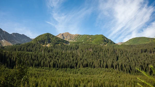 Cloudy Slovakian Ocidental Cárpatos Tatra Montanha Horizonte Coberto Com Florestas — Fotografia de Stock