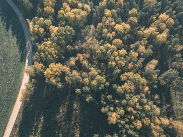 drone image. aerial view of rural area with fields and forests in cloudy autumn day with yellow colored fall trees - vintage old film look