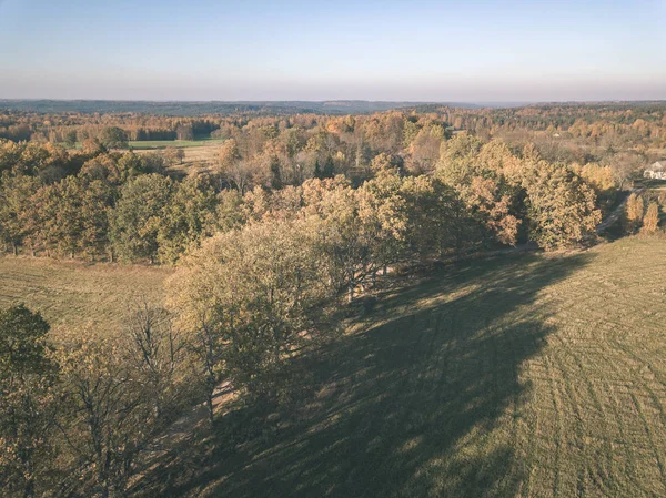 ドローンのイメージ 農村地域でのフィールド 黄色色で曇った秋の日の林の空撮は落ちる木の日です ラトビア ヴィンテージの古いフィルムの外観 — ストック写真