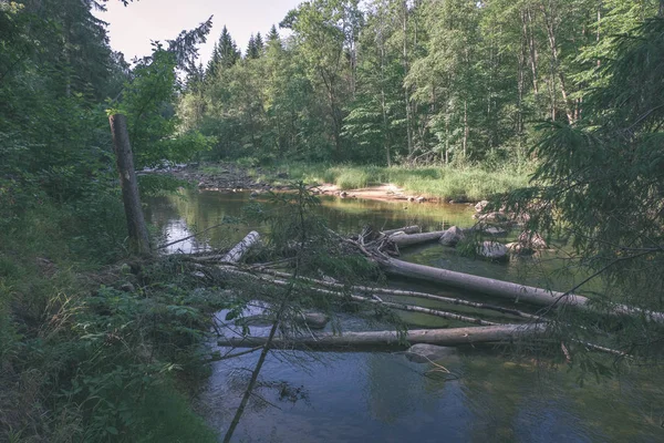 Belo Fluxo Rochoso Floresta Verão Rio Amata Letônia Perto Cesis — Fotografia de Stock