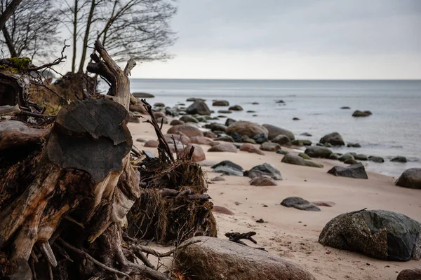 Rocky Берегової Лінії Латвії Потоку Води Морі Великі Камені Пізній — стокове фото