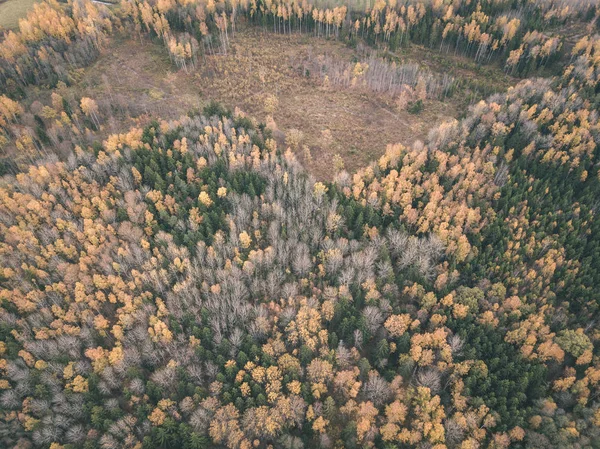 drone image. aerial view of rural area in autumn with yellow and red colored trees in forest from above. latvia, day of colorfull fall - vintage old film look