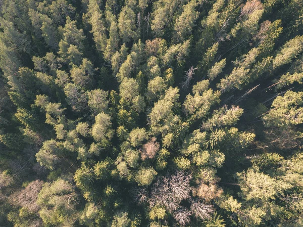 Imagem Drone Vista Aérea Área Rural Com Campos Florestas Reflexões — Fotografia de Stock