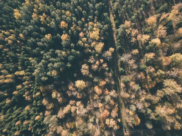 Imagem Drone Vista Aérea Área Rural Com Campos Florestas Dia — Fotografia de Stock