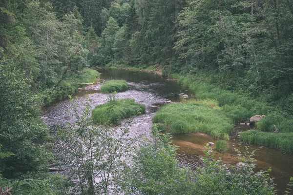 Ruisseau Rocheux Rivière Profondément Dans Forêt Été Rivière Amata Lettonie — Photo