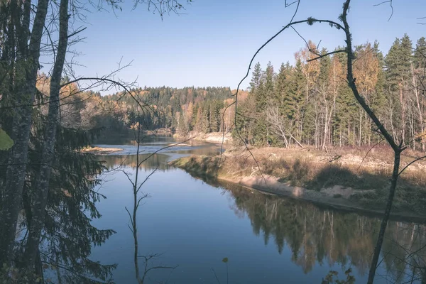 Skogsälv Höstens Färgade Land Floden Gauja Lettland Nära Staden Cesis — Stockfoto