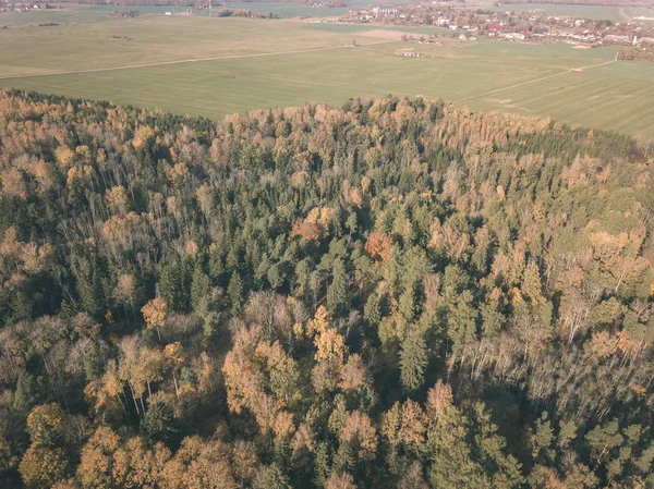 Drone Obrazu Widok Lotu Ptaka Obszarów Wiejskich Jesieni Żółtymi Czerwonymi — Zdjęcie stockowe