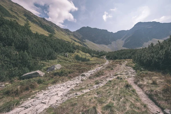 Tatra 필드와 전경에서 스카이 슬로바키아 등산로에서 — 스톡 사진