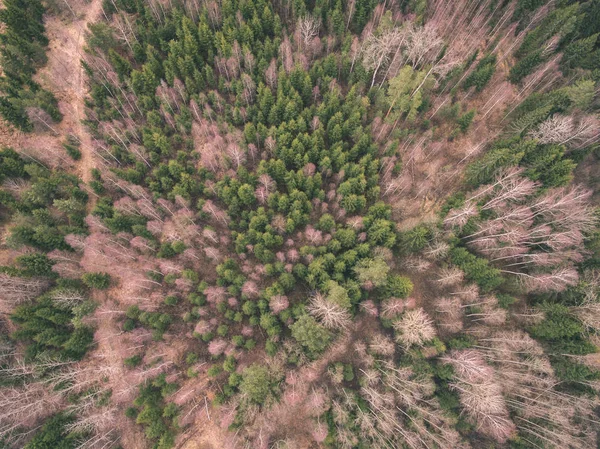 Drone Görüntü Alanları Ormanları Bulutlu Bahar Günü Nehir Yansımalar Kırsal — Stok fotoğraf