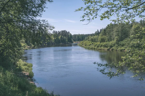 Fiume Calmo Con Riflessi Alberi Vicino Cesis Lettonia Fiume Gauja — Foto Stock