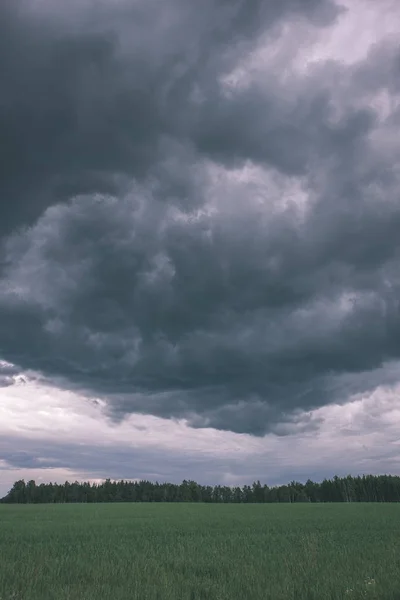 Nuvens Tempestade Sobre Prado Verde Algumas Árvores Verão — Fotografia de Stock