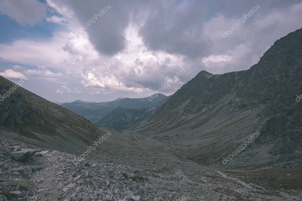 martinsvanags