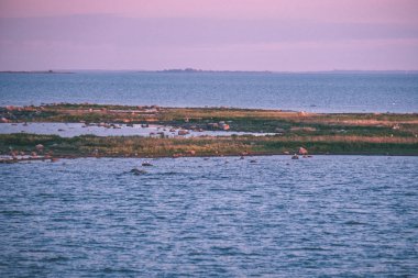panoramik deniz plaj kayalar, bitkiler ve temiz su ile yaz aylarında güneşli gün - vintage bir retro görünüm görünümünde