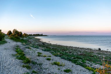 panoramik deniz plaj manzarası içinde kaya, bitkiler ve temiz su ile yaz aylarında güneşli bir gün