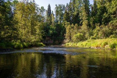 yaz günü suda kumtaşı kayalıklarla ve kuru ağaç ormanları içine Nehri sakin. karanlık su nehir Brasla, Letonya