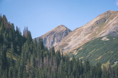 Batı Karpat Dağları açık gün Tatra yürüyüş rotaları
