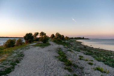 panoramik deniz plaj manzarası içinde kaya, bitkiler ve temiz su ile yaz aylarında güneşli bir gün