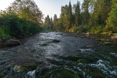 nehir, Amata Letonya yaz sabahı kumtaşı kayalıklarla, yeşil yaprakları ile su akışı