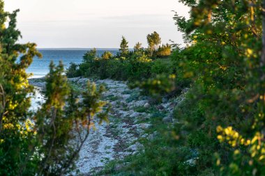panoramik deniz plaj manzarası içinde kaya, bitkiler ve temiz su ile yaz aylarında güneşli bir gün