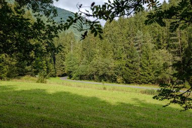 Çoklu Seviye alanları ve ormanları dağ bölgesinde. Slovakya. ağaçlar ve çayırlar üzerinde sis