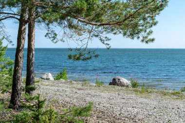 panoramik deniz plaj manzarası içinde kaya, bitkiler ve temiz su ile yaz aylarında güneşli bir gün