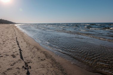 panoramik deniz plaj manzarası içinde kaya, bitkiler ve temiz su ile yaz aylarında güneşli bir gün