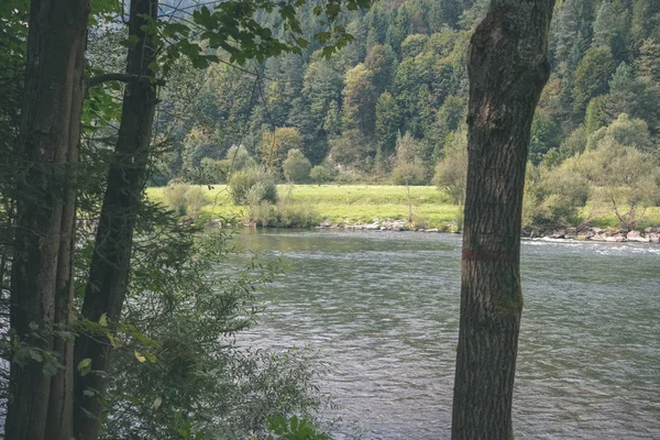 Rzeka Woda Zielony Drzewami Lecie Dunajec Słowacja — Zdjęcie stockowe