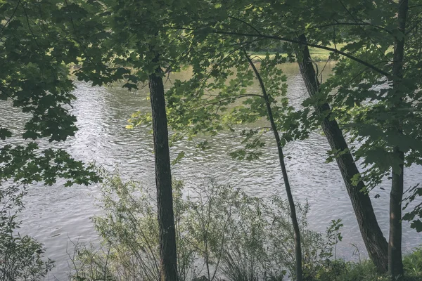 Yeşil Nehri Yaz Aylarında Ağaçların Arkasında Dunajec Slovakya Vintage Bir — Stok fotoğraf