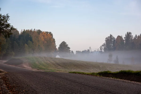 Foggy Country Road Autumn Mist Asphalt Fall Colors — Stock Photo, Image