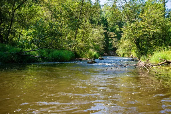 Sommertag Auf Dem Wasser Ruhigem Fluss Umgeben Von Wäldern Mit — Stockfoto