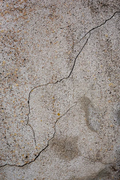 Abstrakte Textur Sandmuster Gewässernähe Mit Einigen Pflanzen — Stockfoto