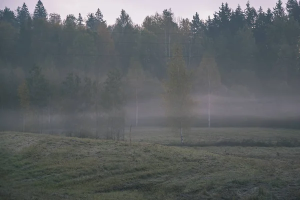 Strada Campagna Appannata Autunno Con Nebbia Asfalto — Foto Stock