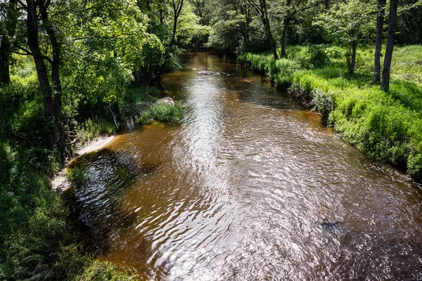 Plan Eau Naturel Étang Avec Reflets Arbres Nuages Dans Une — Photo