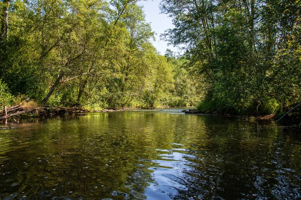 Letní Den Vodě Klidné Řeky Lesy Pískovcovými Útesy Suchého Dřeva — Stock fotografie