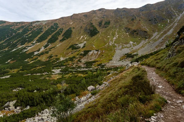 Vandringsleder Slovakien Nära Tatrabergen Mountain Lake Rohache — Stockfoto