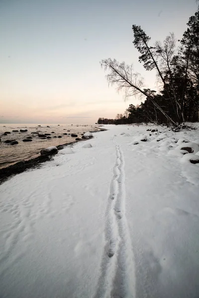 얼어붙은 바다와 — 스톡 사진