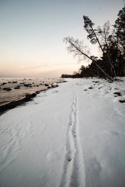 Vue Panoramique Sur Mer Gelée Côte Enneigée — Photo