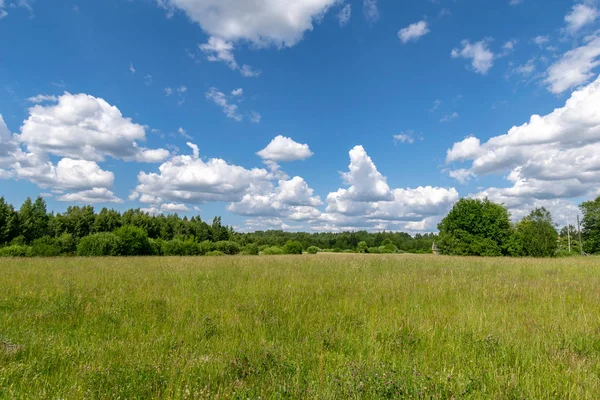 ふわふわ雲と青空の下で風光明媚なグリーン フィールド — ストック写真