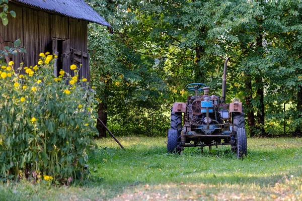 Trator Velho Com Pneus Borracha Pátio Verde Campo Hora Verão — Fotografia de Stock