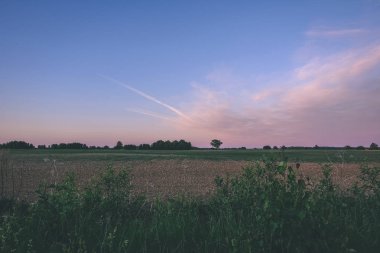 taze ekili tarım alanları için büyüyen gıda - vintage bir retro görünüm hazır